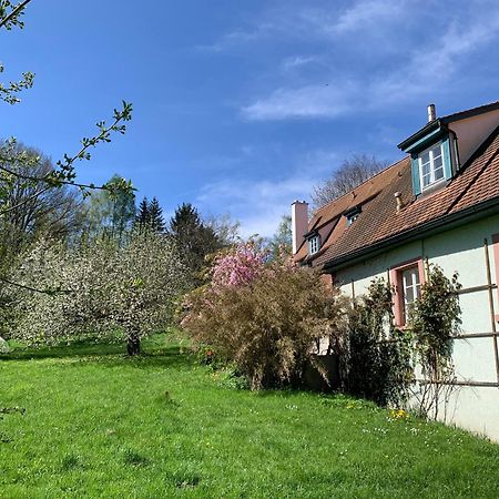 Ferienwohnung In Historischer Muehle Buchen  Dış mekan fotoğraf
