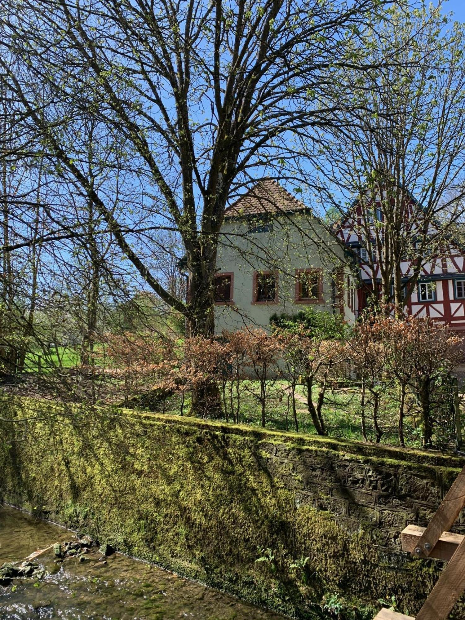 Ferienwohnung In Historischer Muehle Buchen  Dış mekan fotoğraf